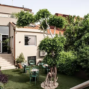 Luxury Euphorbia , Acireale Italie